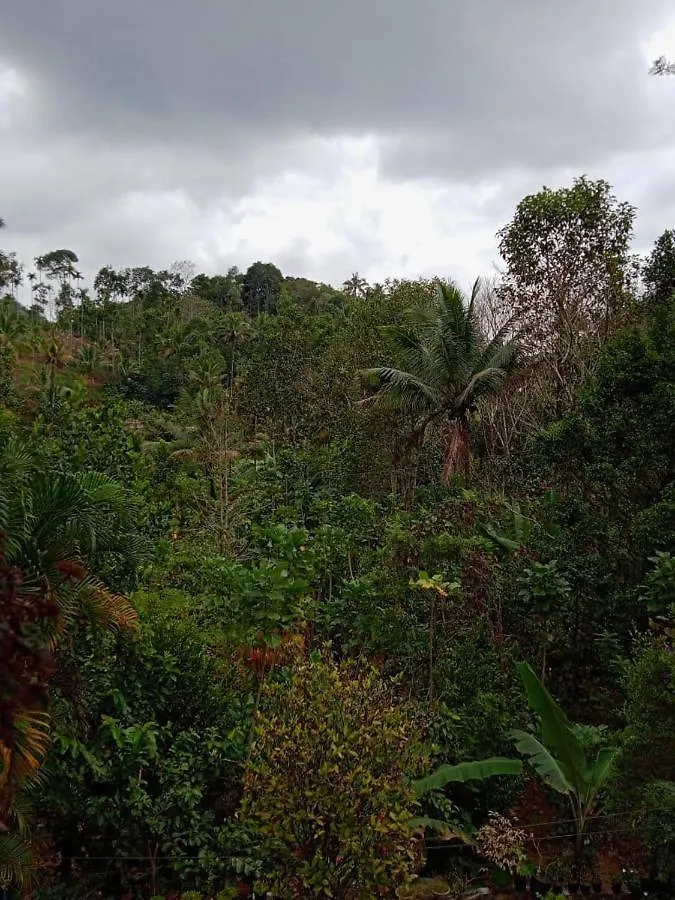 Maliyeckal Homestay Munnar India
