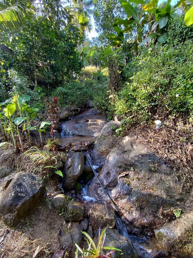 Maliyeckal Homestay Munnar