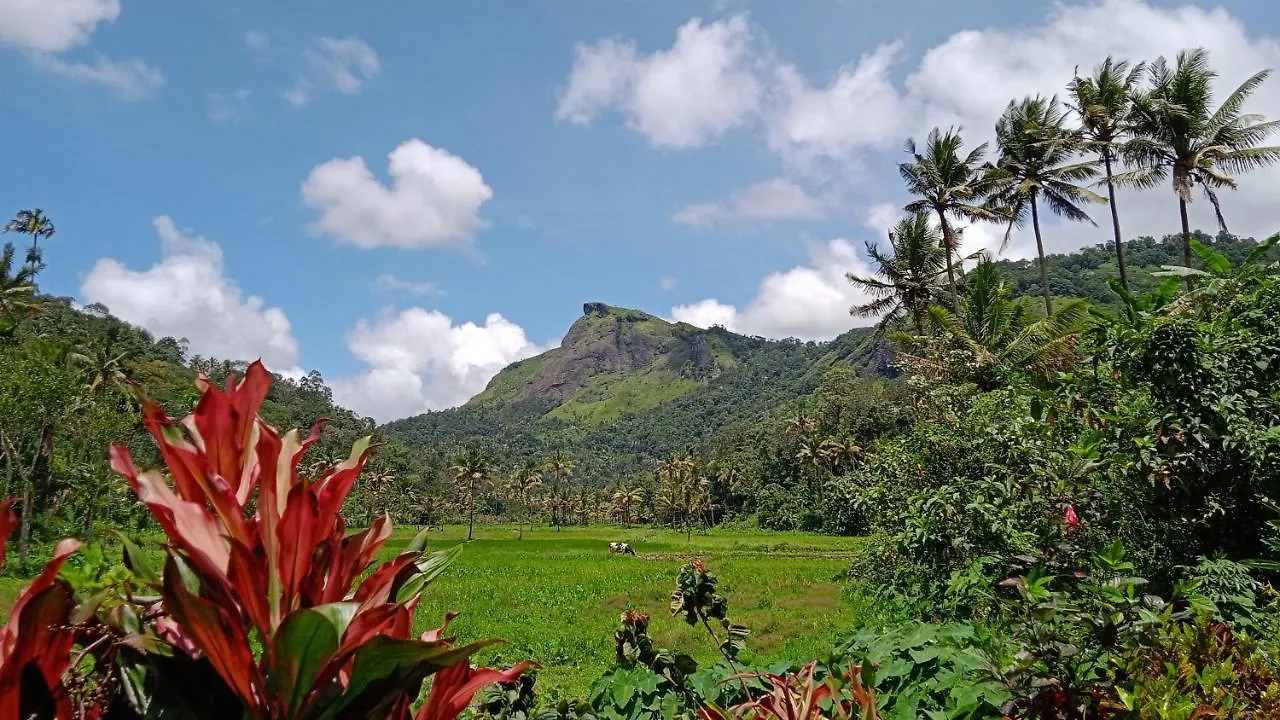Maliyeckal Homestay Munnar