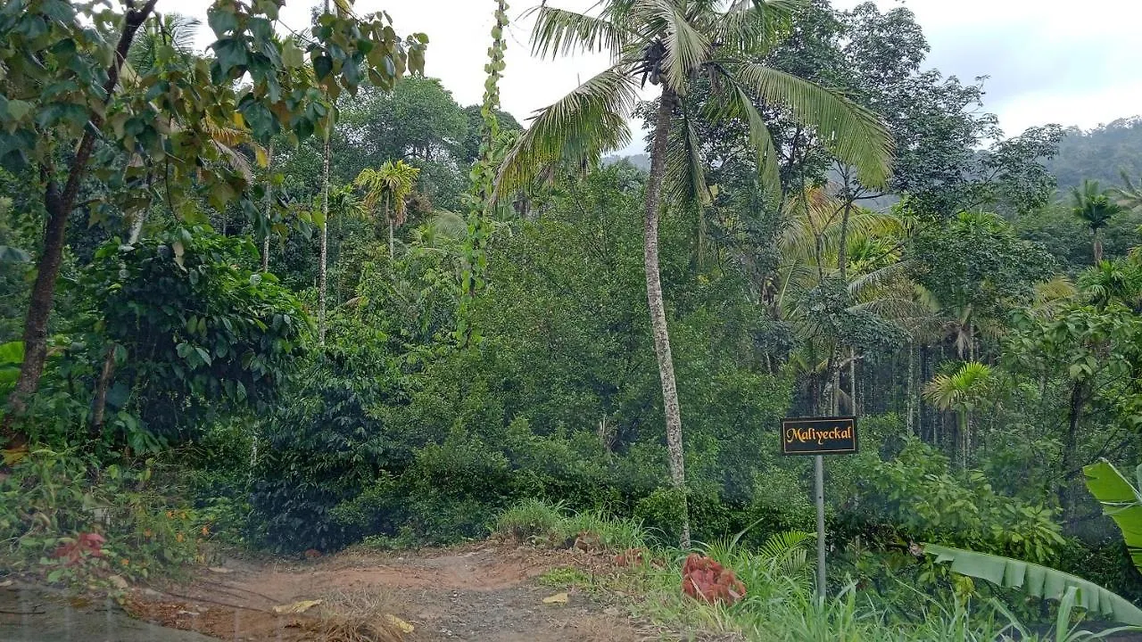 Maliyeckal Homestay Munnar India