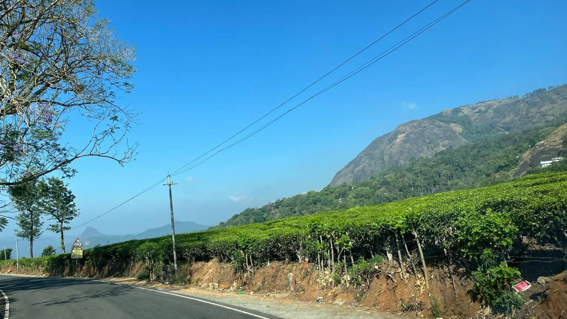 Maliyeckal Homestay Munnar
