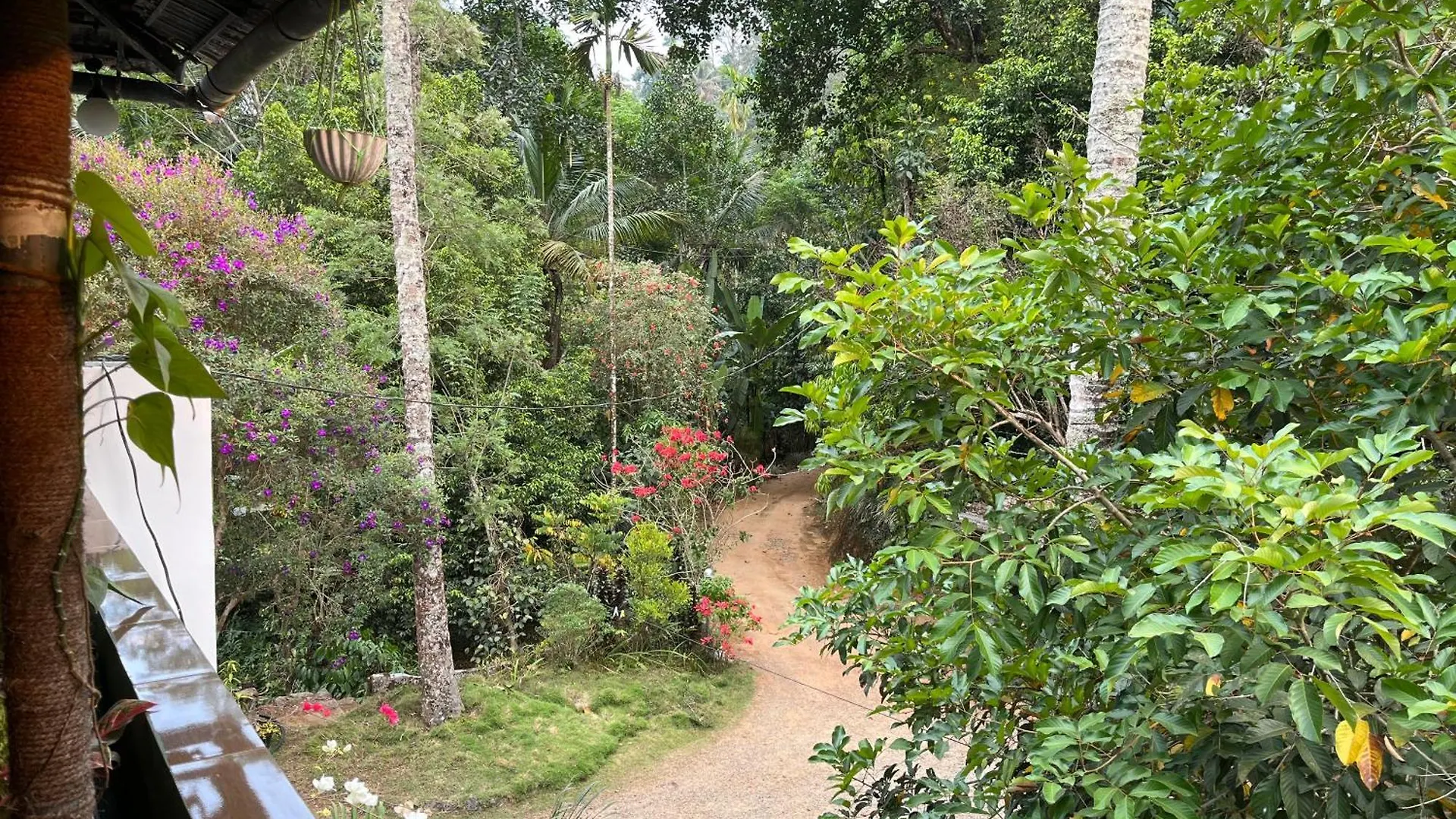 Maliyeckal Homestay Munnar